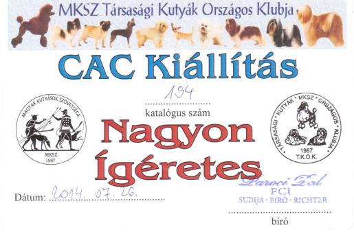 CAC_Certificate2.jpeg