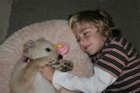 puppy_home_025.jpg