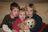 puppy_home_051.jpg