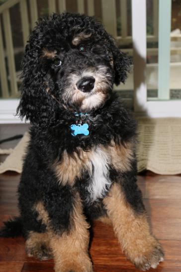 slater5mos.jpeg